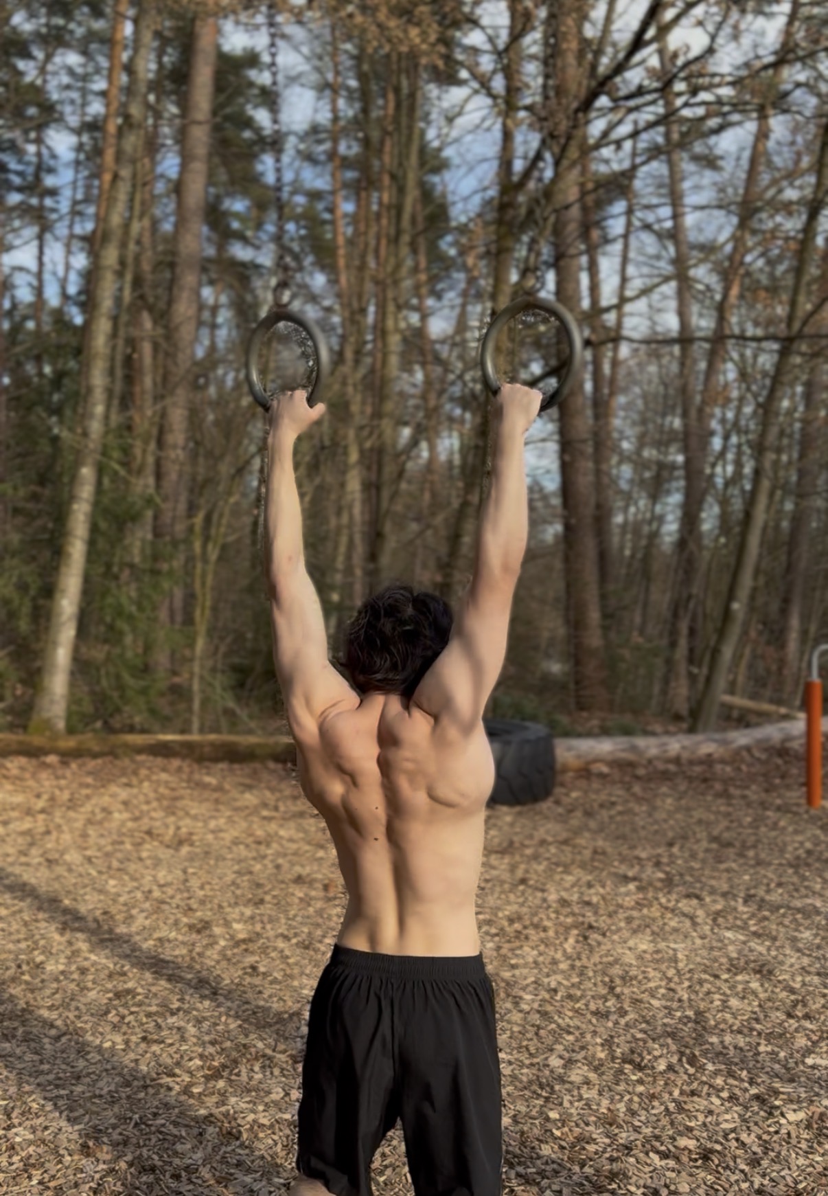 Push, pull, squat, hinge