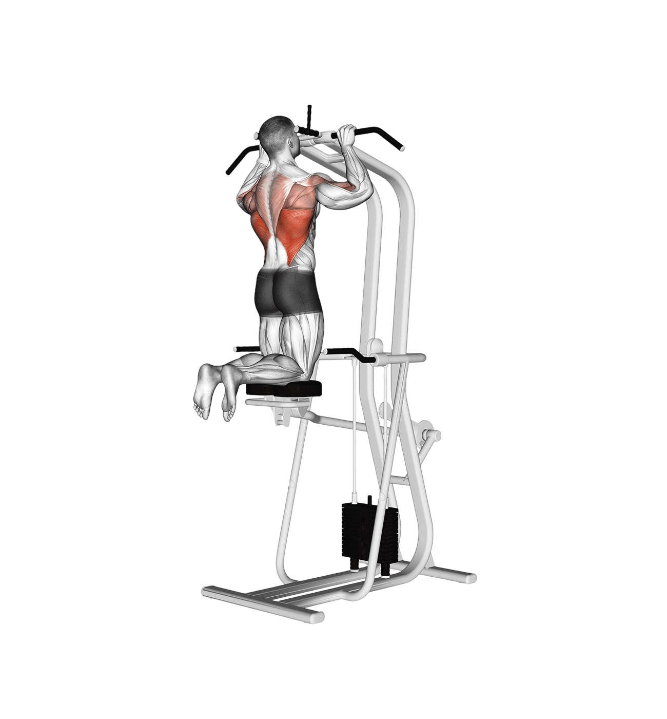 Assisted pull-up