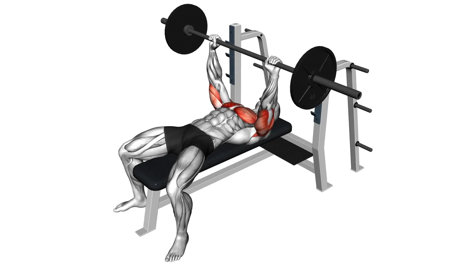 Barbell bench press flat