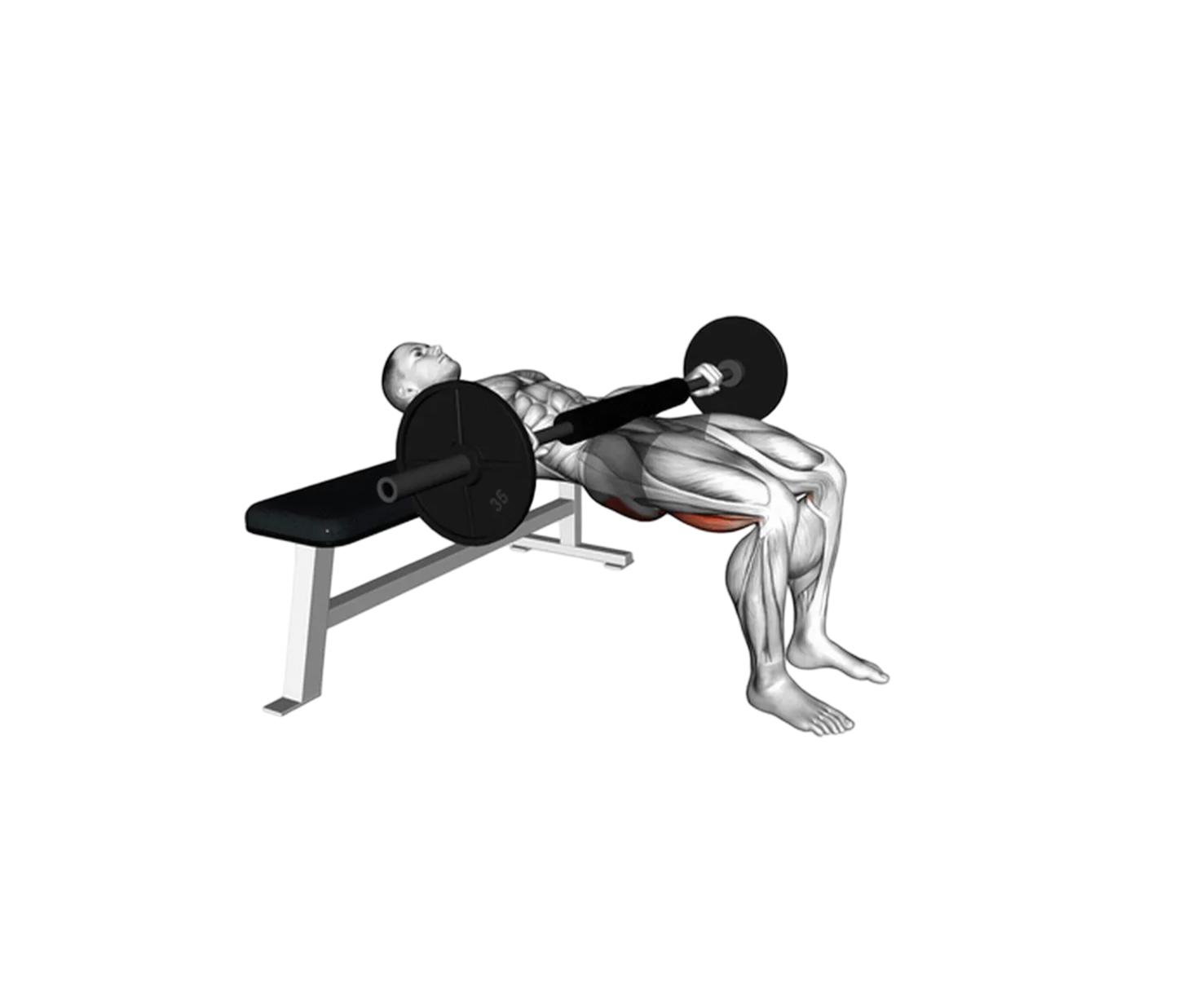 Hip thrust barbell