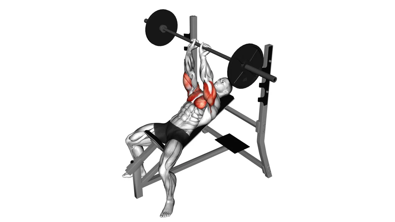 Barbell bench press incline