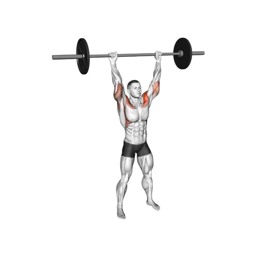 Barbell overhead press