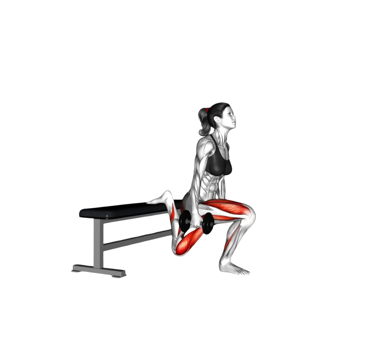 Bulgarian split squats