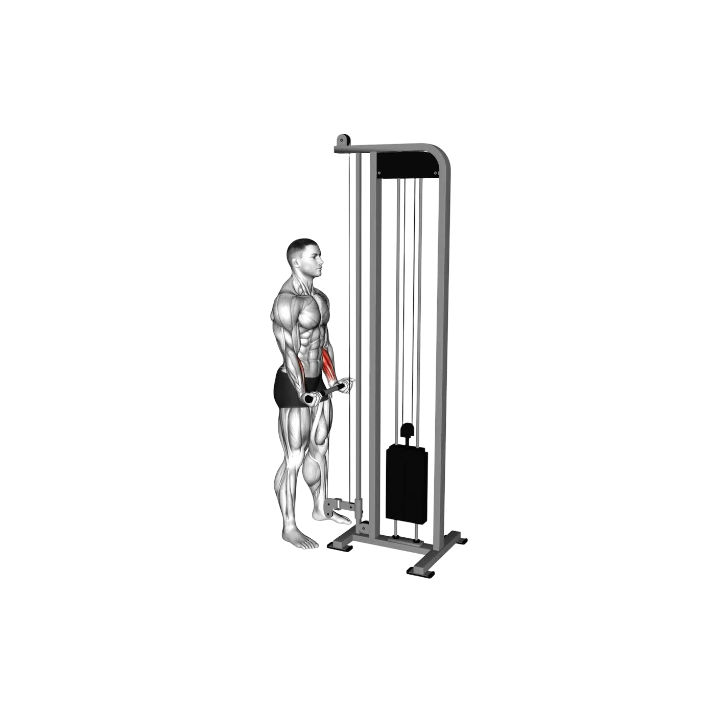 Cable curl machine