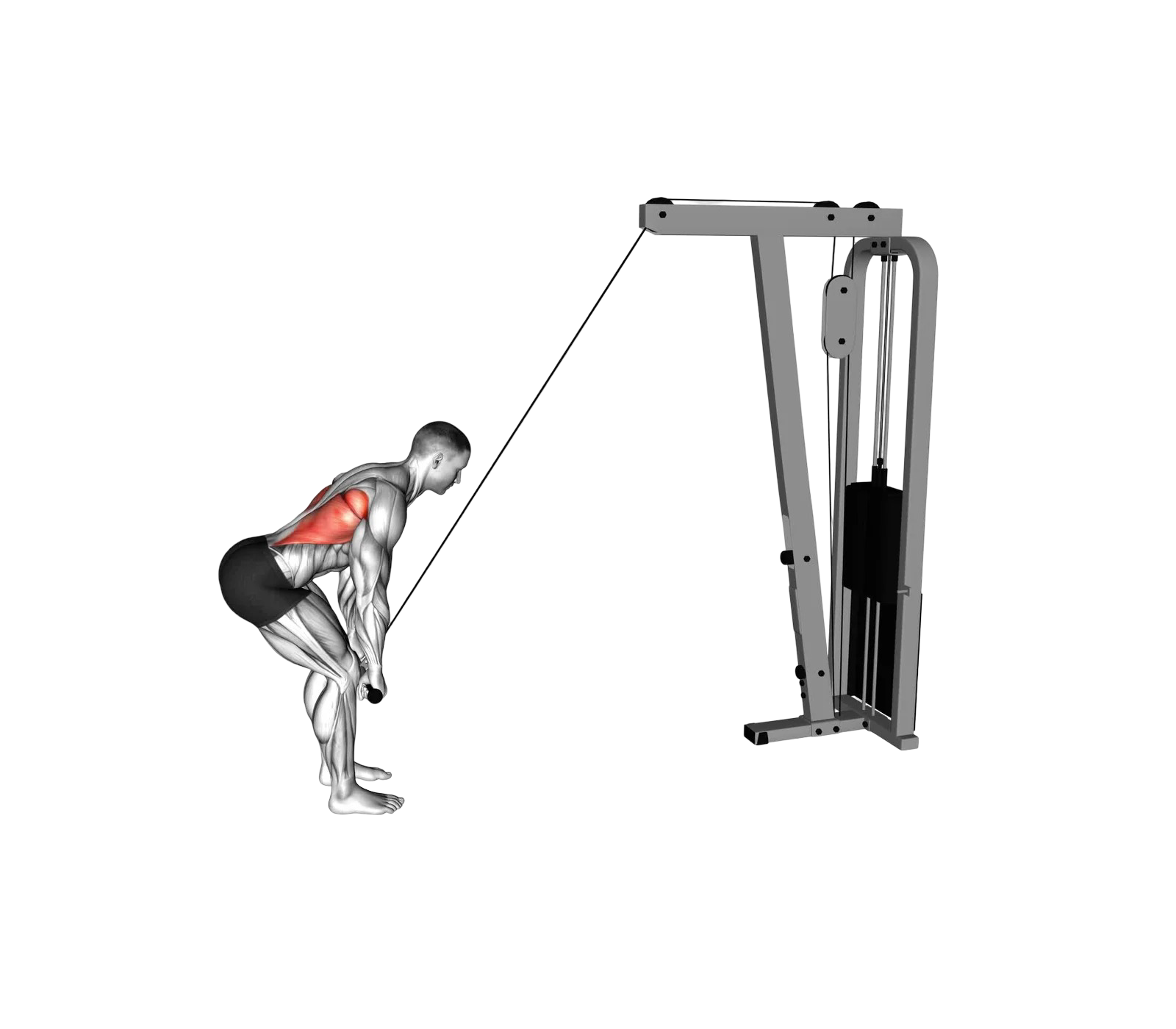 Straight-arm pulldown