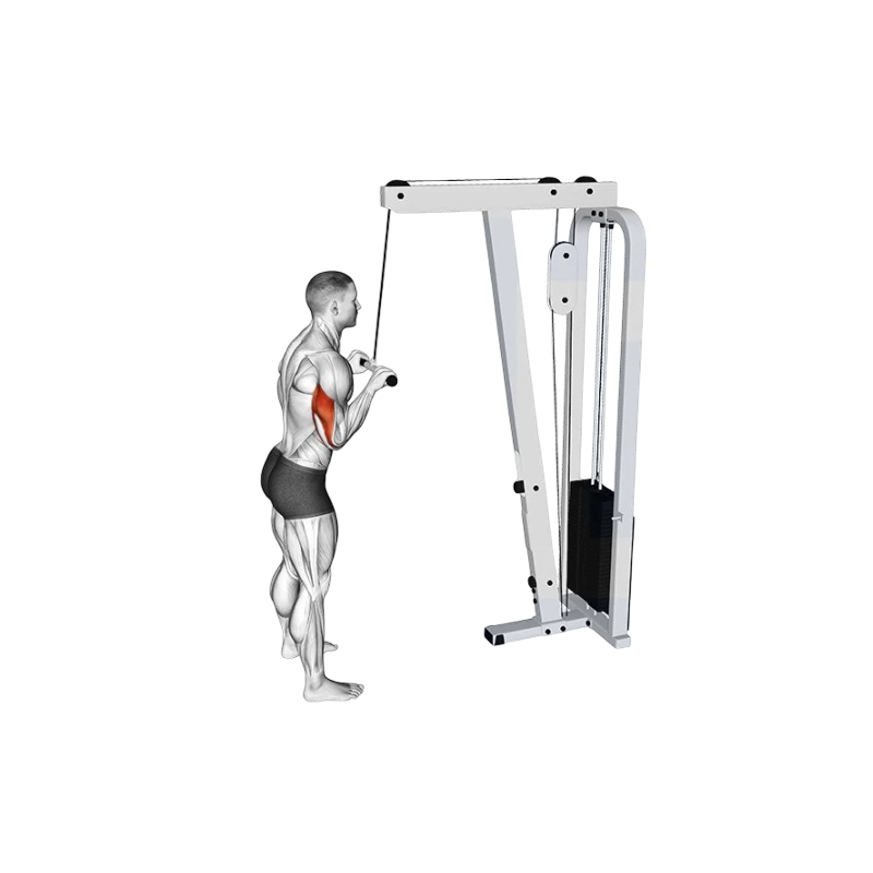 Tricep pushdown bar