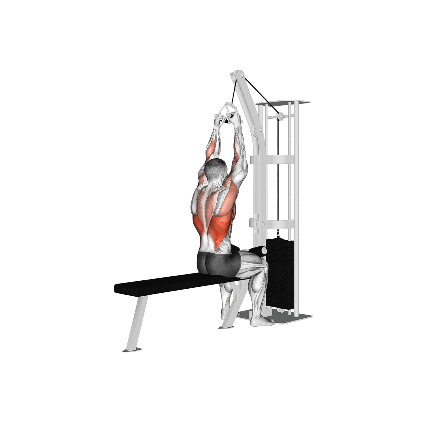Close-grip pulldown