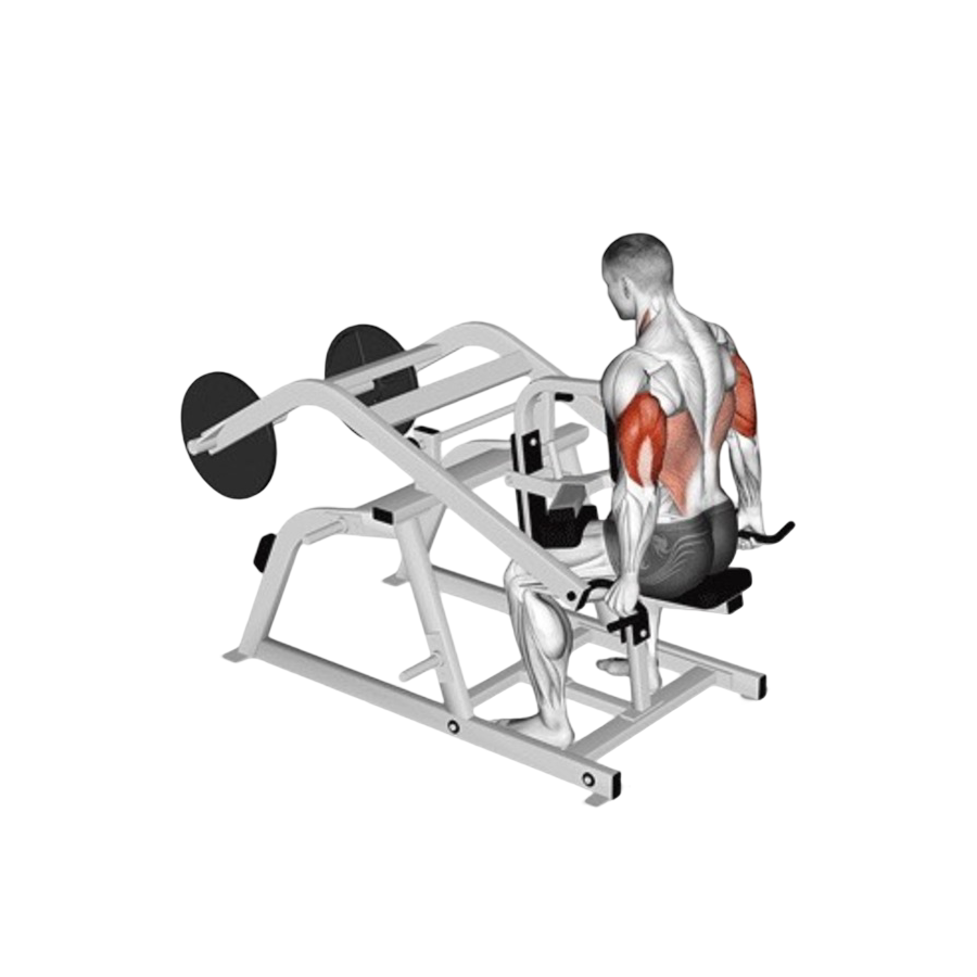Tricep dip machine