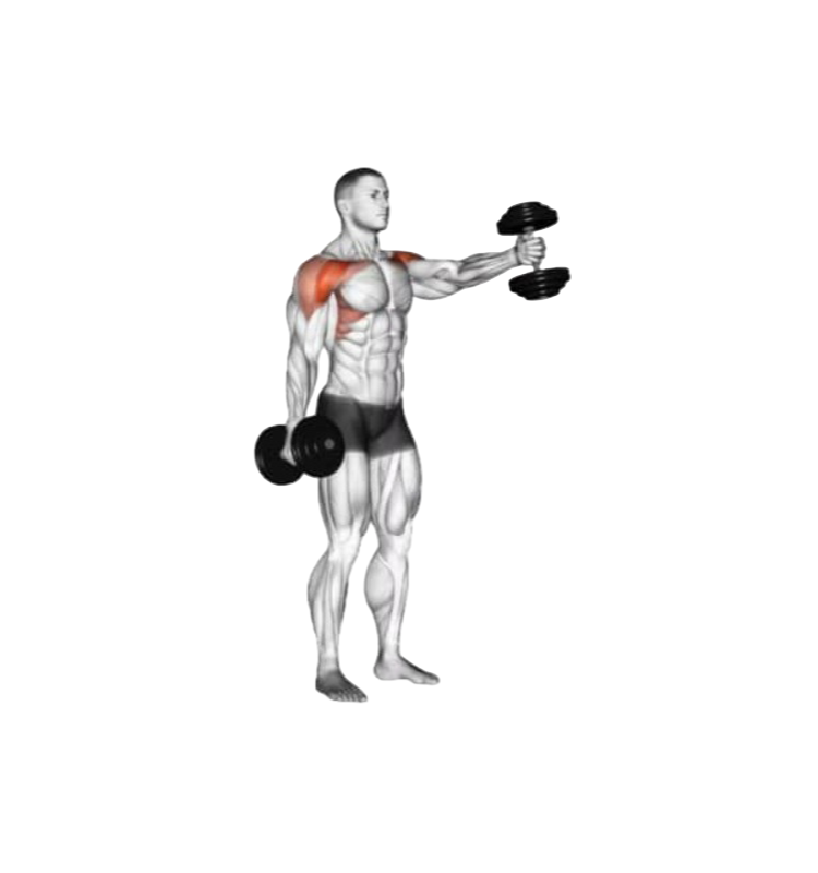 Dumbbell front raises