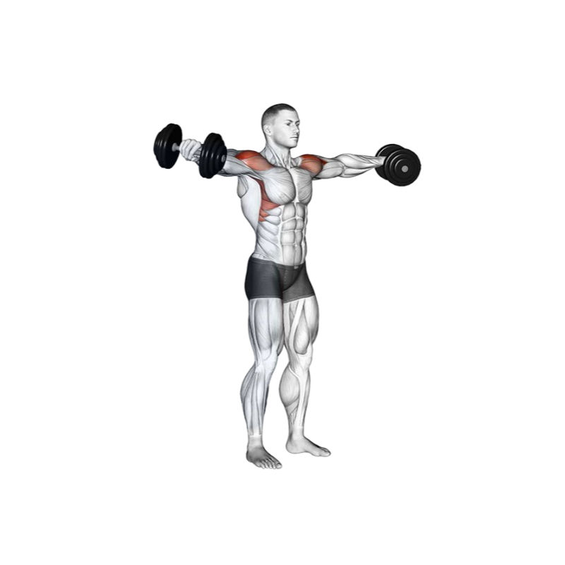 Dumbbell lateral raises