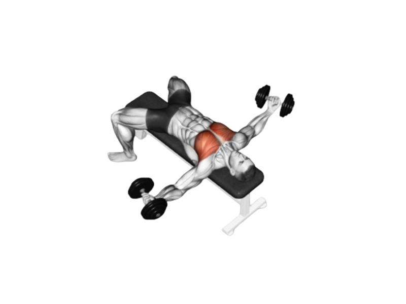 Dumbbell flyes