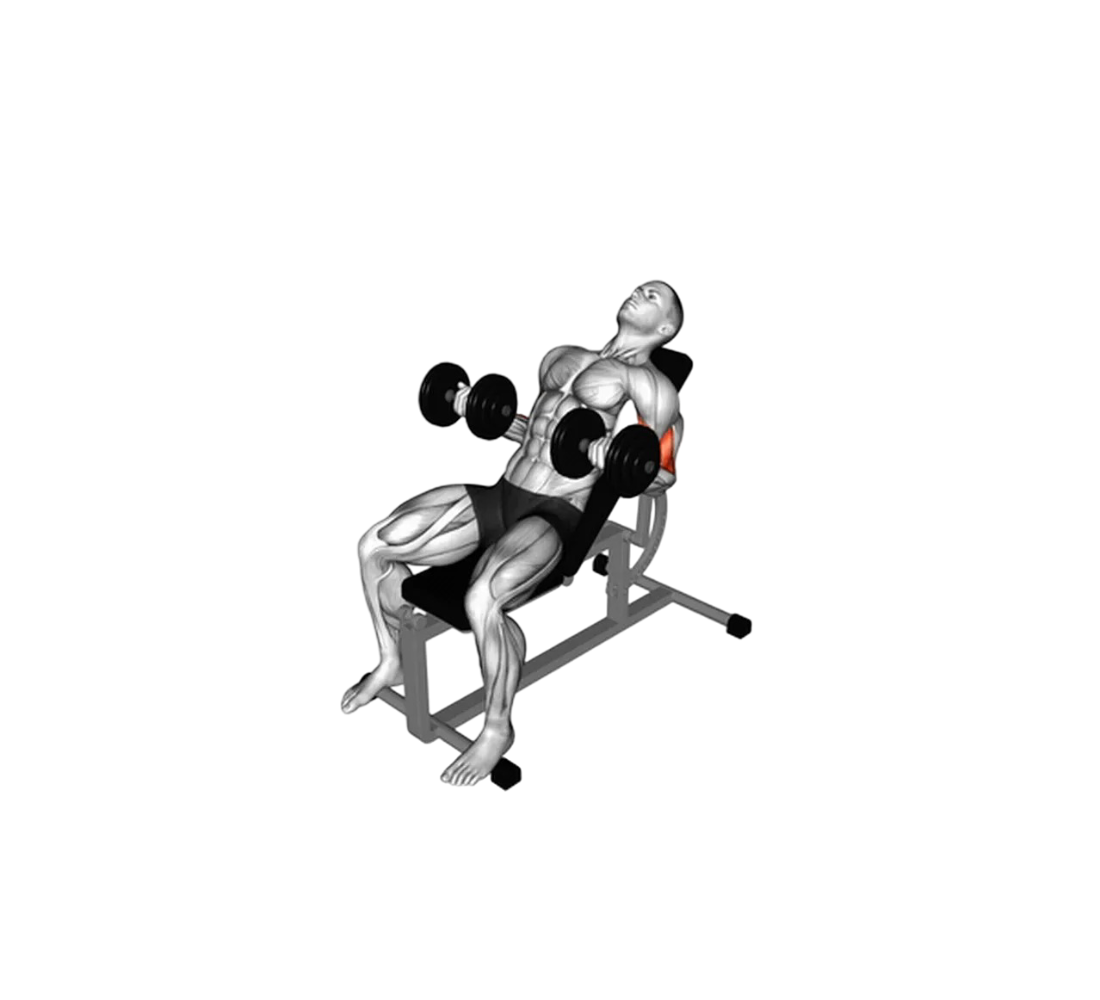 Incline dumbbell curl