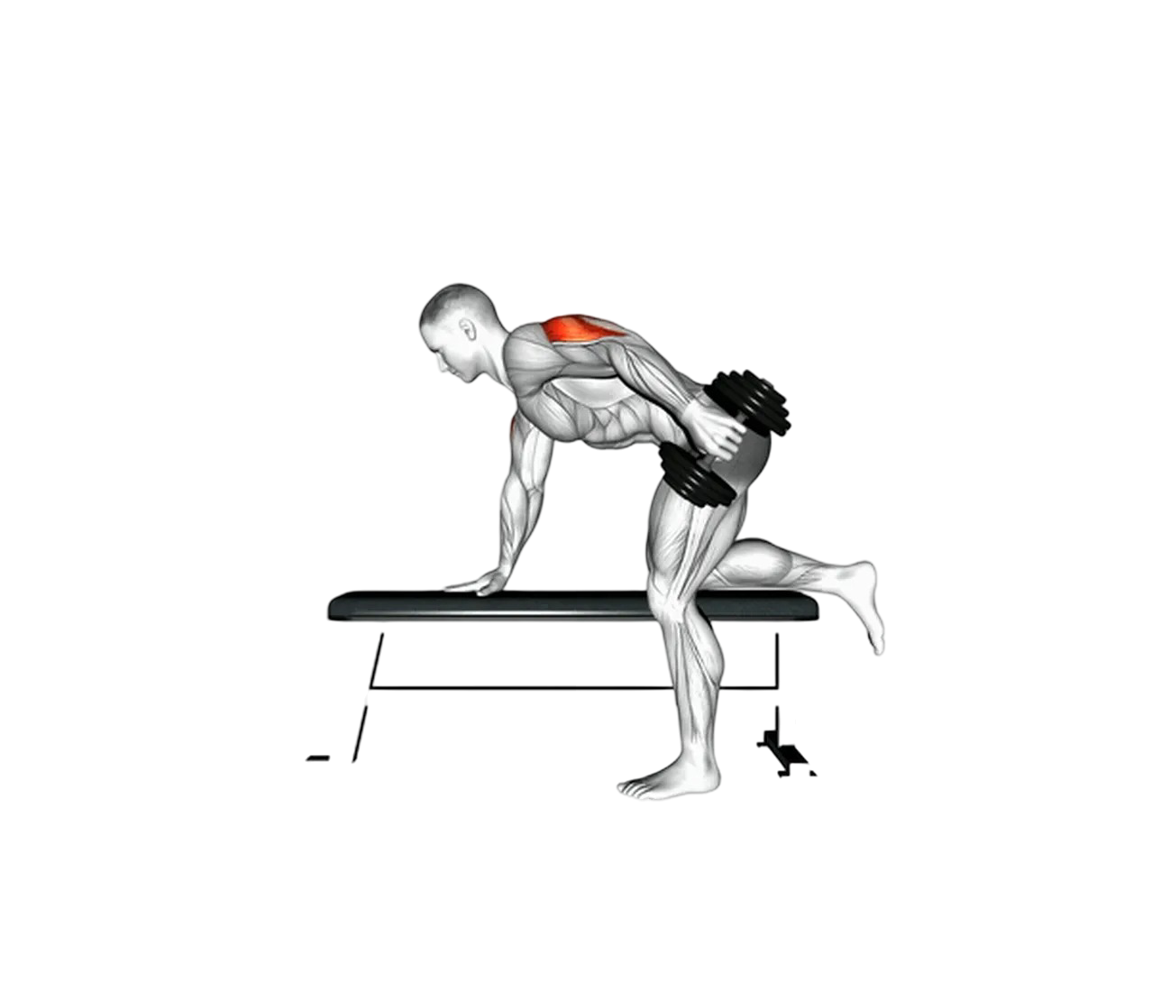 Dumbbell kickbacks