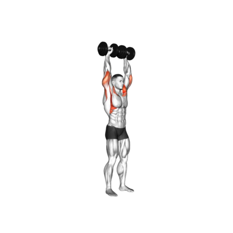 Dumbbell shoulder press