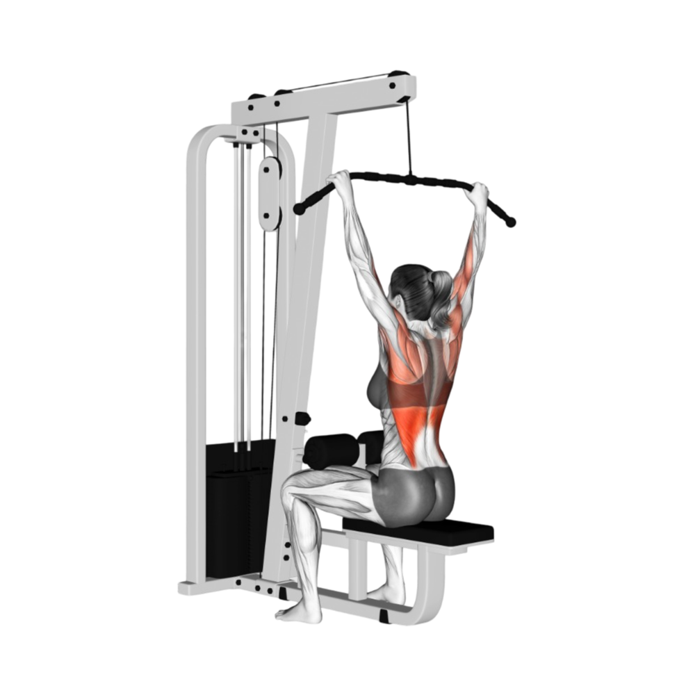 Lat pulldown