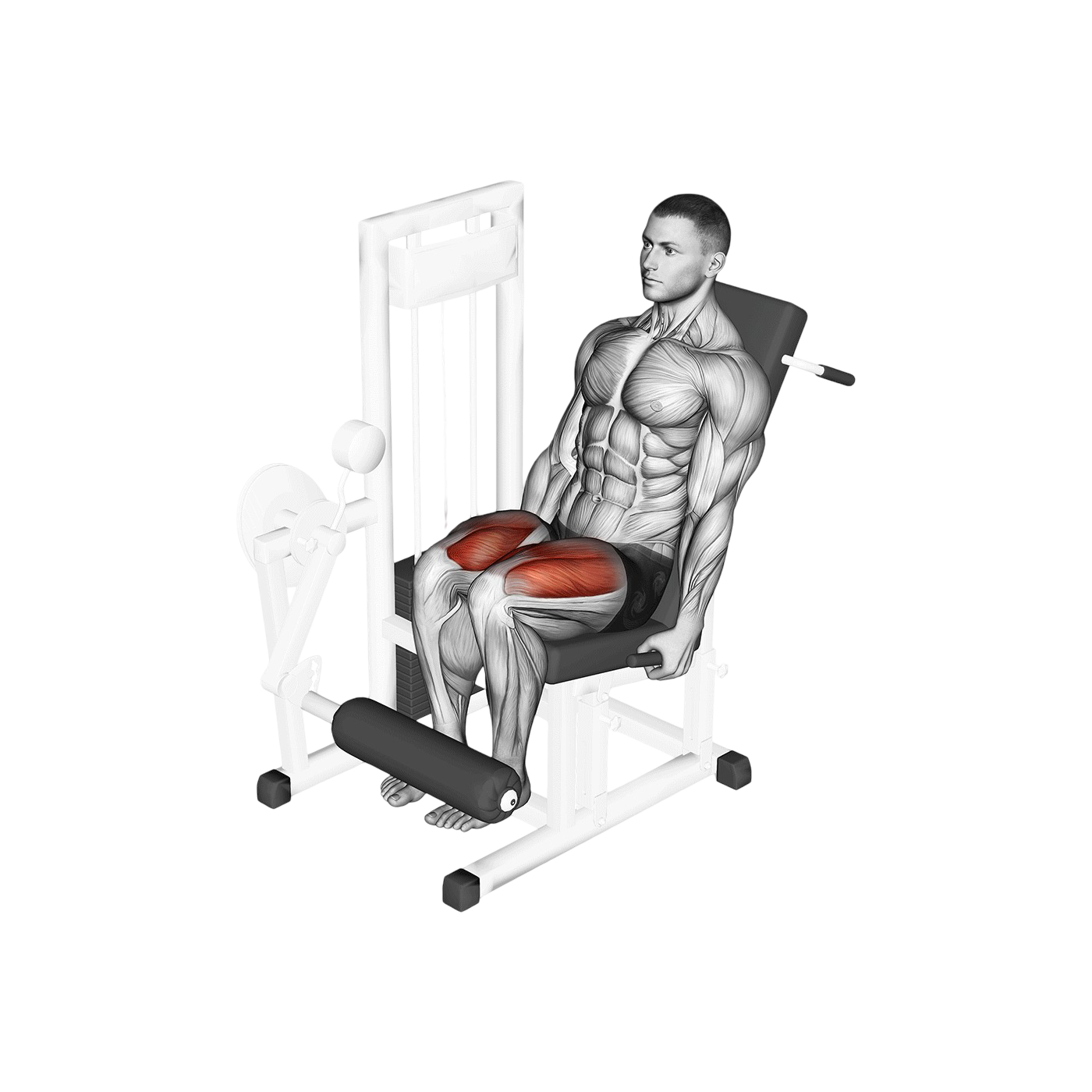 Leg extension