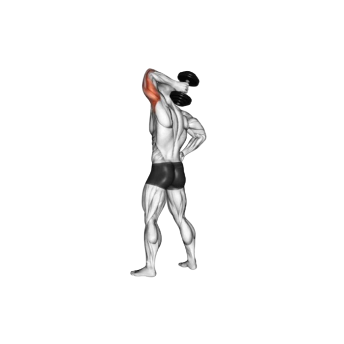 Overhead tricep extension