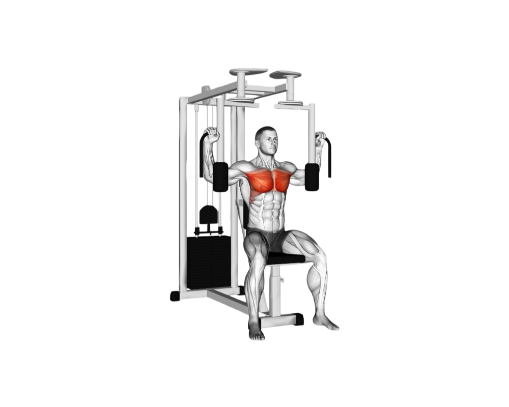 Pec deck butterfly