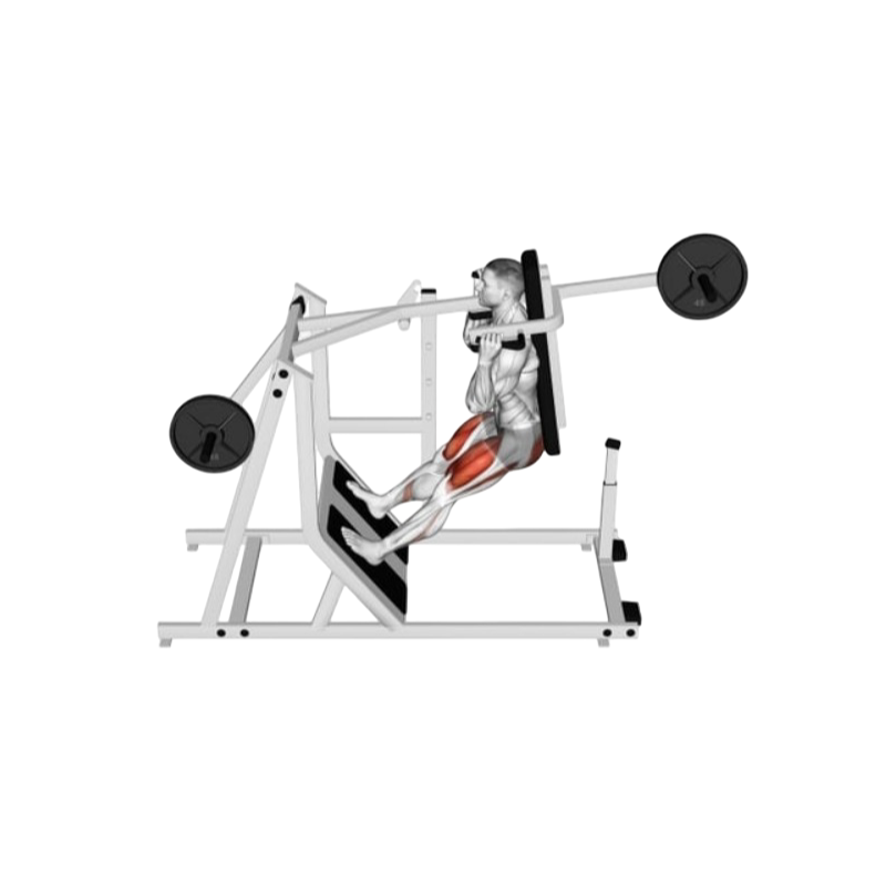 Pendulum squat