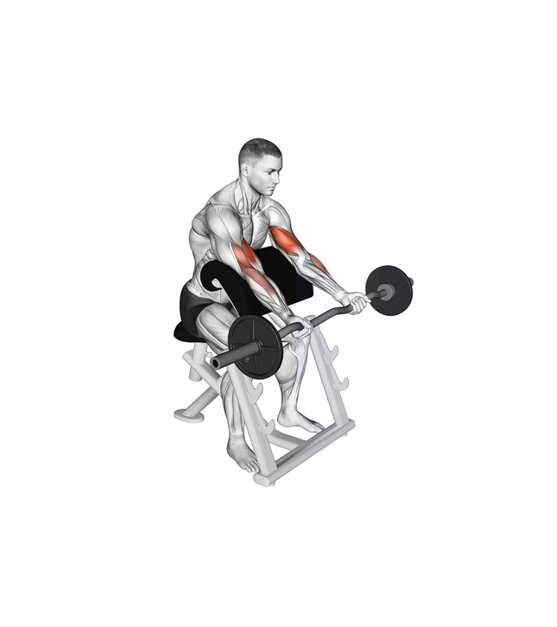 Preacher curl machine
