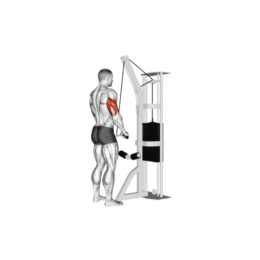 Tricep pushdown rope