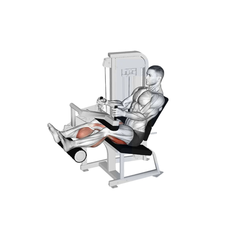 Seated leg curl