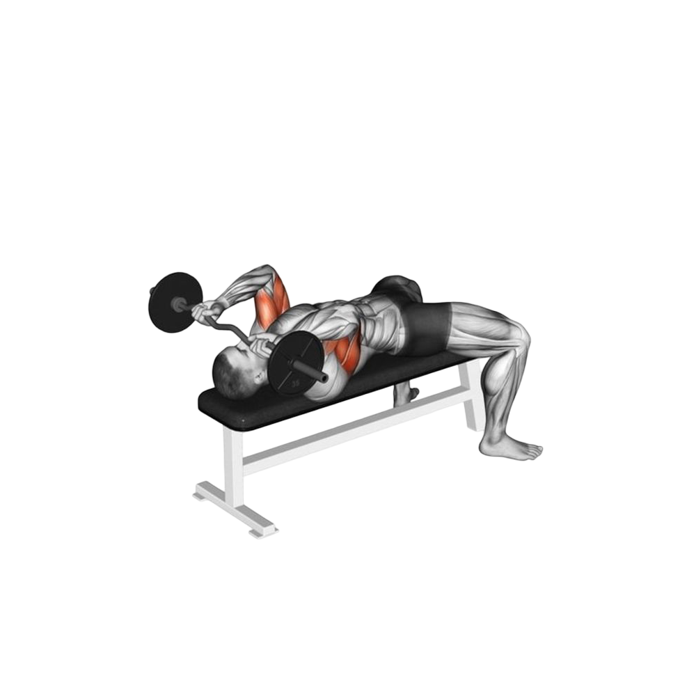 EZ bar skull crushers