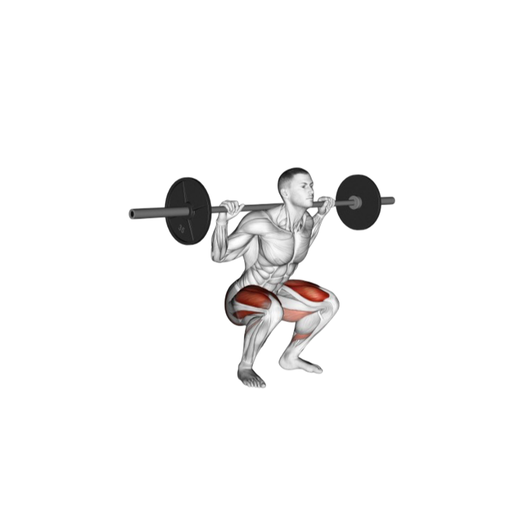 Barbell squat