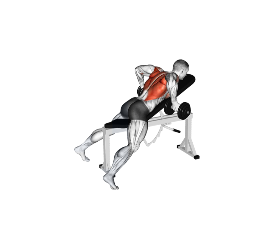 Chest-supported row